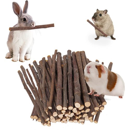 Petawi 600g Apple Sticks Molar Treats, Rabbit Toys Bunny Toys Chinchilla Toys Wood Chews for Teeth Rabbit Food Guinea Pig Hamster Gerbil Toy Sticks Pet Snacks(150 Pcs)