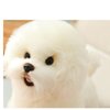 Tiny Heart Simulation Bichon Frise Plush Toys, Realistic Bichon Frise Stuffed Animal Plush Toys Soft and Cute Dog Plush Toys 10inch, Birthday Gifts for Kids, Home Decor
