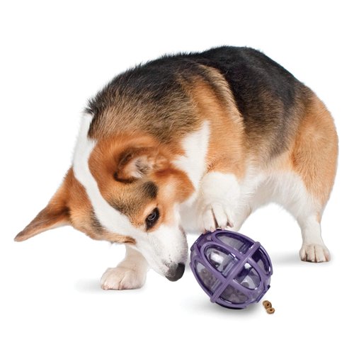 PetSafe Busy Buddy Kibble Nibble - Dog Toy - Treat and Food Dispenser - Slow Feeder - Small