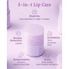 Christmas Gifts VDL Herbal Lipcerin (0.5fl oz) - Bergamot, Mallow Leaf, Sage. Long Term Moisturizing, Plumping, Conditioning Lip Gloss Balm. Korean Skin Care Sleeping Mask for Dry, Chapped Lips.