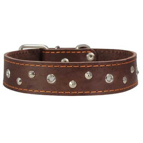 Dogs My Love Genuine Leather Dog Collar Studded 1.5" Wide, 16.5"-20" Neck (Brown)
