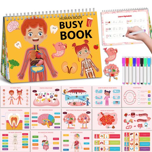 Human Body Preschool Busy Book 30 Pages Quiet Book, Montessori Learning Toys for Toddlers 3-5, Learning Activities Coloring Sticker Book, Sensory Travel Toy for Trip Car, Kids 1-3 Birthday Gifts