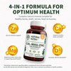 Natural Nutra Calcium Magnesium Zinc Supplement with Vitamin D3 for Bone Strength, Health, Gluten Free and Sugar-Free, Essential Mineral Complex, 250 Count (Pack of 1)
