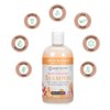 Ginger Lily Farms Botanicals Moisturizing Shampoo for All Hair Types, Coco Mango, 100% Vegan & Cruelty-Free, Coconut Mango Scent, 12 Fl Oz