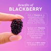 Glow Recipe Blackberry Retinol Face Serum - Anti Aging Night Serum & Pore Minimizer with Hydrating Triple Retinoids to Help Clarify Blemishes, Smooth Texture, Reduce Fine Lines & Wrinkles (30ml)