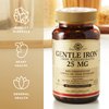 Solgar Gentle Iron (Iron Bisglycinate) 25 mg - 180 Vegetable Capsules, Pack of 2 - Non-Constipating, Gentle on Your Stomach - Non-GMO, Gluten Free - 360 Total Servings