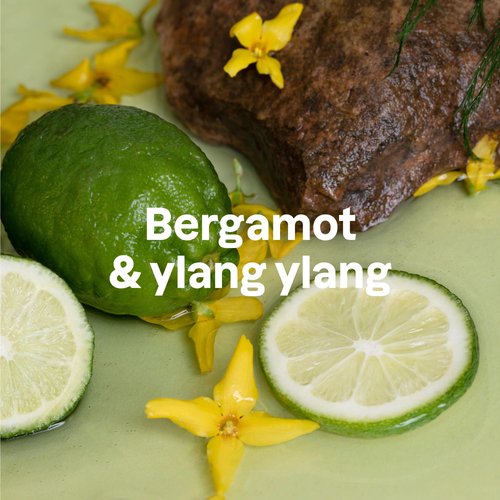 ATTITUDE 2in1 Shampoo and Body Wash with Essential Oils, EWG Verified, Plant and Mineral-Based Ingredients, Vegan Personal Care Products, Refillable Aluminum Bottle, Bergamot and Ylang Ylang, 16 Fl Oz