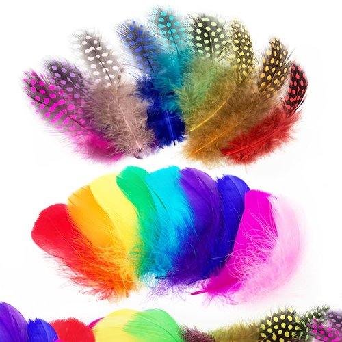 Audamp Craft Feathers 300pcs Colorful Feathers for Craft DIY Wedding Home Party Decorations