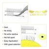 Premade Volume Eyelash Extensions 5D-C-0.10-13 Long Stem Premade Fans Eyelash Extensions Volume Lash Extensions .07 .10 Premade Volume Fans C D Pre made Lash Fans 9-16 mix (13 mm, 5D-C-0.10)