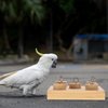 Mipcase Desktop Toys Bird Training Toys Parrot Intelligence Toy Wooden Block Puzzle Toys Parrot Biting Toys Educational Toys Wooden Activity Play Gym Accessories Bird Cage Accessories