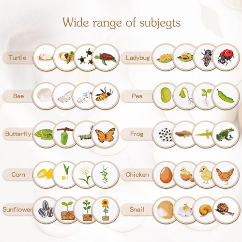 Wooden Life Cycle Toys Tray Frogs for Kids, Butterflies, Chickens, 40 Pieces, Preschool Learning Activities Puzzle Board, Toddlers Education Toys Kit, Preschool Toys for Classroom for Boys and Girls