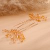 Kercisbeauty Wedding Hair Pins Crystal Hair Accessories for Women Girls Bridal Hair Clips Brides Bridesmaid Hair Dress 2pcs (Champagne Beads)