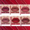 Lipstick Matte Lipstick Liquid Makeup Set, 6Pcs Long-Lasting Wear Non-Stick Cup Not Fade Waterproof Velvet Lip Gloss Kit, Lip Makeup Gift Sets for Girls and Women Dark Colors