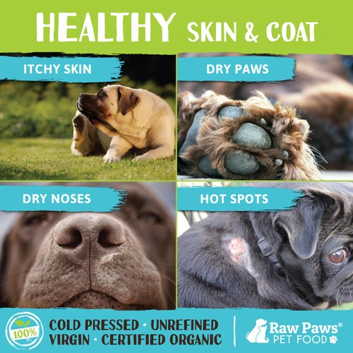 Raw Paws Organic Coconut Oil for Dogs & Cats, 8-oz - Treatment for Itchy Skin, Dry Nose, Paws, Elbows, Hot Spot Lotion for Dogs, Natural Hairball Remedy for Dogs & Cats