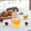 Ivolador Honey Jar, Glass Honey Pot with Dipper and Lid Glass Storage Container Dispenser for Home Kitchen Store Honey and Syrup