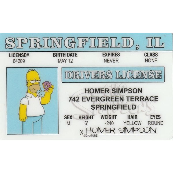 Signs 4 Fun Parody ID | Homer Simpson ID | Fake ID Novelty Card | Collectible Trading Card Driver’s License | Novelty Gift for Holidays | Made in The USA