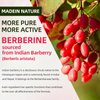 GrnLife Berberine Gummies with Ceylon Cinnamon 1500mg High Potency Berberine HCL Supplement for Immune and Metabolism Support, Sugar Free, Raspberry Flavor - 60 Count