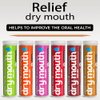 Xero Picks Dry Mouth - Infused Flavored Toothpicks for Long Lasting Fresh Breath & Dry Mouth Prevention (Variety 6 Pack)