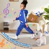 Walking Cat Set Interactive Talking Cat Toy Kitten Repeat What You Say Robot Cat Toy for Girl Singing Dancing Touch Control Cat with Leash Wagging Tail Nodding Plush Electric Ragdoll Kitty Cat for Kid