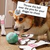 Ten Bone Bowling: A Family Party Game for You and Your Dog | Dog Board Game