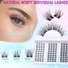 Lash Clusters Natural Eyelash Clusters D Curl Cluster Lashes zanlufly Wispy Individual Lashes Cluster Eyelash Extension 10 12 14MM DIY Lash Extension