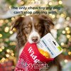 Oxyfresh Dog Dental Toy - Best Durable Rubber Dog Chew Toy for Aggressive Chewers - Removes Plaque, Cleans Teeth & Freshens Breath Without Brushing (Small)