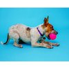 Hartz Dura Play Bacon Scented Squeak Ball Dog Toy for Small Breeds, 3 Pack