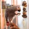 Zerodis Parrot Chewing Toys,Parrot Nut Chew Toy Birds Grinding Mouth Stick Birds Foraging Toy Bird Treat Sticks for Cockatiel Parakeet Birds