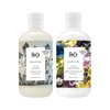 R+Co Gemstone Color Shampoo and Conditioner Set | Prolonged Color Vibrancy, Repairs + Nourishes Hair | Vegan + Cruelty-Free | 17 Oz