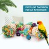 BBjinronjy Bird Toys Conure Toys Hanging Natural Soft Sola Ball Beak Chew Shred Forage Toys for Parrots,Cockatiel,Conure,Love Birds,Parakeets,Budgie and Other Small Birds (Girls)