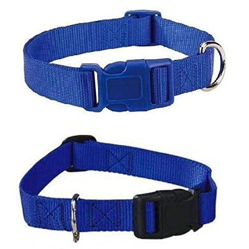 Zack & Zoey Blue Dog Collar Bulk LOT Packs 4 Sizes Nylon Litter Band Puppy Rescue Shelter(Small - 10 to 16 Inch 20 Collars)