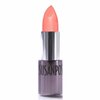 Susan Posnick COSMETICS, COLORESSENTIAL: (Boca) - Natural Makeup/Long Lasting Lipstick, Balm & Lip Plumper In One / 15 Colors/Cruelty Free/USA