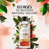 Herbal Essences bio:renew White Grapefruit & Mosa Mint Naked Volume Shampoo, 13.5 fl oz