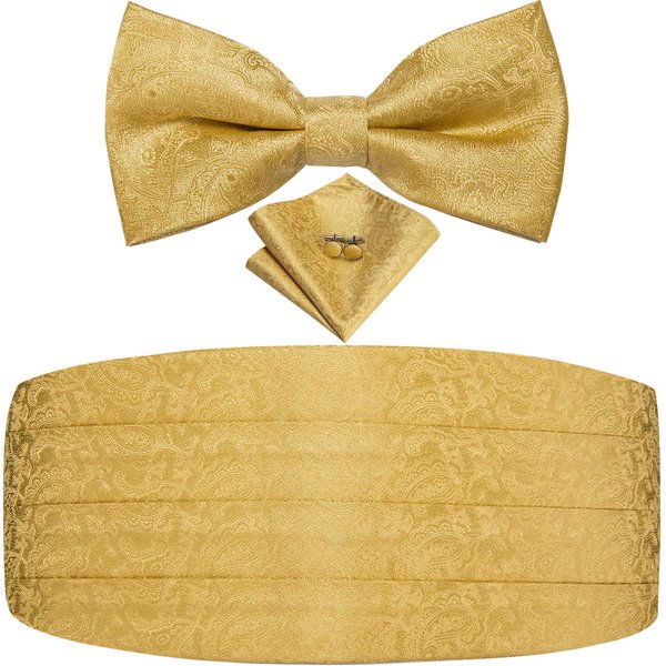 Dubulle Gold Paisley Cummerbund and Bowtie for Men Gold Bow Tie and Pocket Square