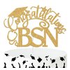 Ferburitar Congratulations BSN Cake Topper, Congrats Nurse/RN Cake Decor, 2025 Nursing School Grad Graduation Party Decorations Supplies, Gold Glitter