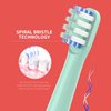 Replacement Toothbrush Heads Compatible with Colgate Hum Connected Smart Battery Toothbrush Refill Head, Green, 6 Pack