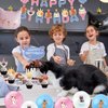 JOPARY Cat Themed Birthday Party Decorations Supplies for Kids Girl, Including Happy Birthday Banners Cat Aluminum Film Balloons Cupcakes Topper Cat Balloons for Pet Cat Parties and Kids' Birthdays