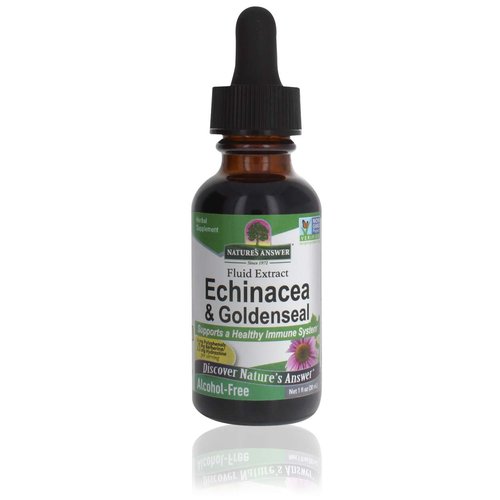 Nature's Answer Enchinacea & Goldenseal | Supports a Healthy Immune System | Super Concentrated Pure Extract | Alcohol-Free, Gluten-Free, Vegan & Kosher Certified 1oz