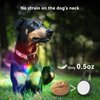 4 Modes Dog Lights for Night Walking, IP68 Waterproof Dog Collar Light for Nighttime Clip on, High-Capacity Rechargeable Dog Light with 2 USB C Cables, 2 Pack