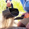 Island Genius Sand Scoop and Shovel Digging Tools for Metal Detecting, Beach Shelling, Sand Sifter
