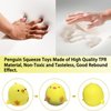 Chicken Stress Balls Squishy Toys for Kids Party Favors, Dough Ball, Squeeze Toys for Adults, Funny Cute Farm Animals Stress Ball Sensory Toys for Autism