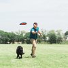 ChuckIt! Fetch Flight Dog Toy