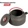 REDCAMP 0.8L Mini Outdoor Camping Kettle, Aluminum Water Pot with Carrying Bag, Compact Lightweight Tea Kettle