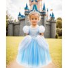 Axaxa Girls Cinderella Costume Halloween Princess Dress Up Fancy Birthday Party Ball Gown with Accessories