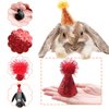 PET SHOW 10pcs Mini Small Dog Hats Cat Birthday Party Hat Rabbit Hats for Holiday Wedding Puppies Kittens Costume Accessories