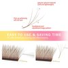 XIUSUZAKI W Lash Extensions Brown 4D Eyelash Extensions W Shape 0.07mm Thickness D Curl Mix 8-15mm Premade Fans Lashes Colored Lash Extension Volume Lashes Individual Lashes(W-Brown-4D-0.07-D,8-15mm)