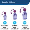 PetSafe Busy Buddy Tug-A-Jug Dog Toy – Slow Feeder and Trainer – Small