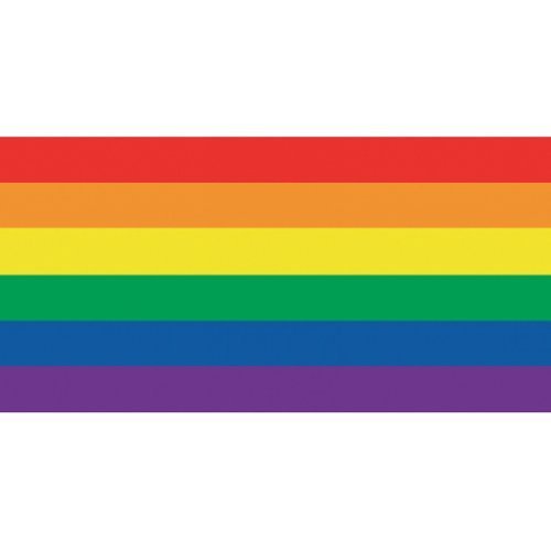 Rainbow / Gay Flag Beach Towel