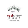 Red Cherry #DW False Eyelashes (Pack of 6 Pairs)