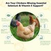 LuxeVib Selenium & Vitamin E Powder for Chickens, Selenium for Chickens, Immune System, Muscle Support & Prevents, Improve Wry Neck, Selenium, Vitamin E Supplements, Suitable for All Poultry